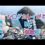 【カレイ釣り】アザラシも見に来たナゾのカレイ⁉️＊能取湖