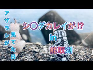 【カレイ釣り】アザラシも見に来たナゾのカレイ⁉️＊能取湖