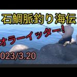 石鯛脈釣り海伝