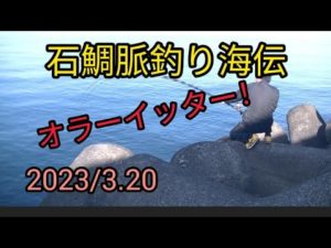 石鯛脈釣り海伝