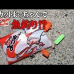 駄菓子の「よっちゃんイカ」で釣りをしてみた結果が衝撃的でした！