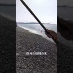 03-14　煙樹ケ浜釣り情報 #shorts