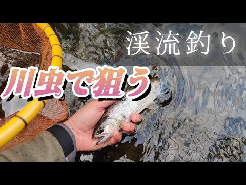 【渓流釣り】【餌釣り】早春の渓流釣り。