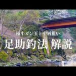 渓流釣り  盛期のアマゴを釣りこなせ【餌釣り入門者必見】