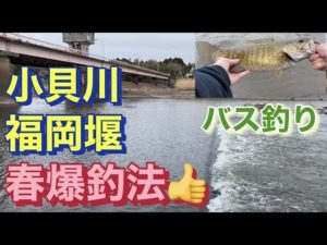 春爆釣法! 小貝川 バス釣り 春パターン