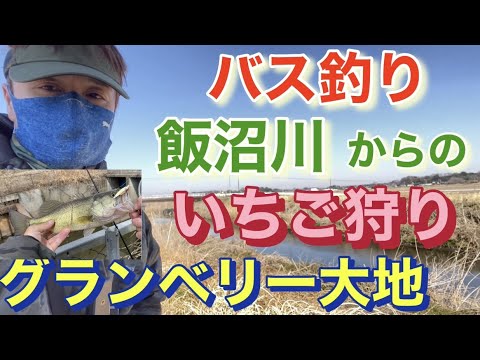 飯沼川からのいちご狩り グランベリー大地 バス釣り おかっぱり