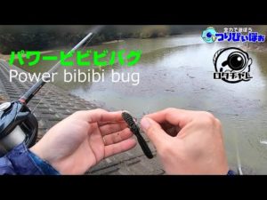 ほぼ思い通りに釣れる野池がこんな感じです。【バス釣り】【パワービビビバク】