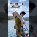 木崎湖早春のバス釣り　３月。　　　#バス釣り#スモールマウスバス