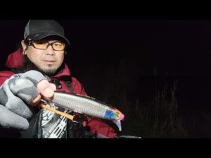 釣り楽181 後半戦