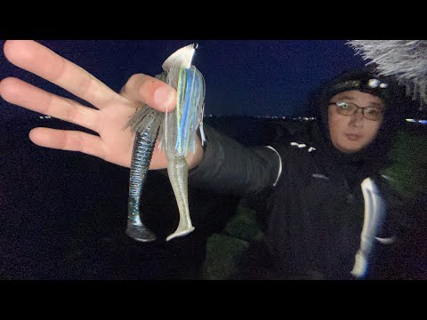 夜のバス釣りライブ。スコーンリグで釣りたい日