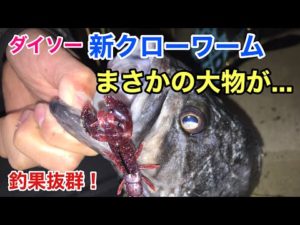 ダイソー新クローワームで釣りしたらやばいの釣れた…！