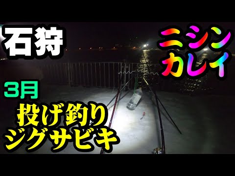 【釣り】北海道石狩湾・ニシン・カレイ・投げ釣り・ジグサビキ：2023年3月