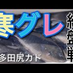 佐多田尻のカドでグレ釣り。