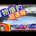【高知県㊙️釣り情報】爆釣！青物FEVER突入‼️みんな今すぐ落としダモの用意を