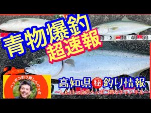 【高知県㊙️釣り情報】爆釣！青物FEVER突入‼️みんな今すぐ落としダモの用意を