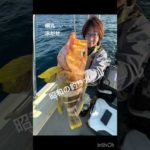 #綱丸 #釣りガール #宇和島 #釣り#遊漁船 #泳がせ #ハタ