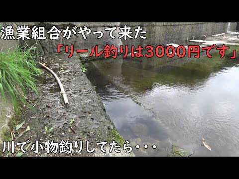 川釣り中 漁業組合にお金払いました