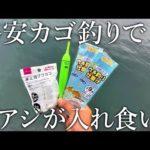 ダイソー釣具で組んだ［ライトカゴ釣り仕掛け］でも昼間からアジが入れ食いになりました