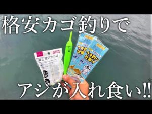 ダイソー釣具で組んだ［ライトカゴ釣り仕掛け］でも昼間からアジが入れ食いになりました