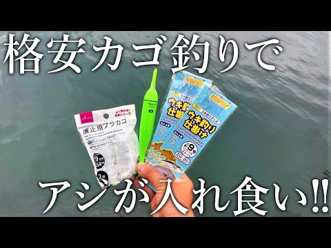 ダイソー釣具で組んだ［ライトカゴ釣り仕掛け］でも昼間からアジが入れ食いになりました