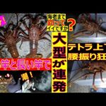 伊勢海老釣り 海老まで釣ってイイですか？　　　自分の都合で怒るときに「間違ってるかな？」とか「誰かが言わなきゃいけないから！」って周りにアピールしがちな人いるよね。