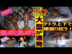 伊勢海老釣り 海老まで釣ってイイですか? 自分の都合で怒るときに「間違ってるかな?」とか「誰かが言わなきゃいけないから!」って周りにアピールしがちな人いるよね。