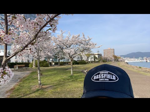 琵琶湖バス釣りライブR5-4/2