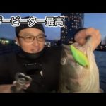 春のデカバスがブザービーターで釣れた！琵琶湖バス釣りライブ