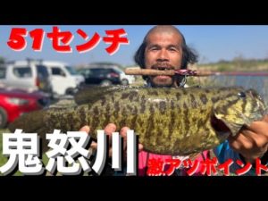 【茨城バス釣りポイント】鬼怒川激アツポイント！ダーマス意地の一撃！小貝川【バス釣り】