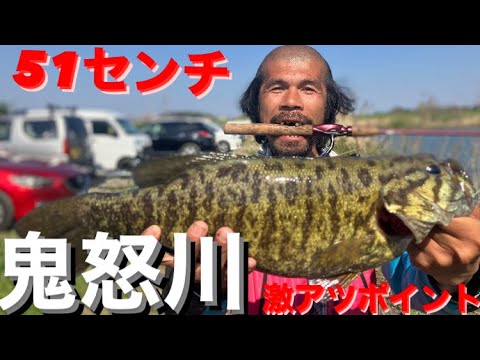 【茨城バス釣りポイント】鬼怒川激アツポイント!ダーマス意地の一撃!小貝川【バス釣り】