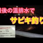 最後の温排水でサビキ釣り 知多半島