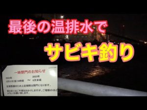 最後の温排水でサビキ釣り 知多半島
