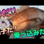 春だ！　白子だ！　乗っ込みだ！　真鯛釣り　タイラバ　スーパーライトジギング　SLJ　ゴムボート　エレキ　瀬戸内海　宇野