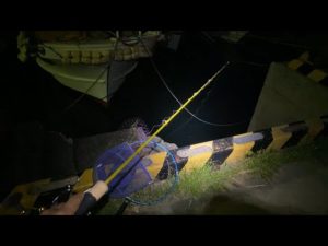 【夜釣りライブ】アジさえ釣れれば勝てる