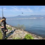 琵琶湖バス釣りライブR5-4/4