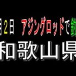 4月２日　アジングロッドで釣り和歌山県