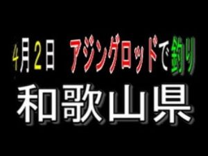 4月２日　アジングロッドで釣り和歌山県