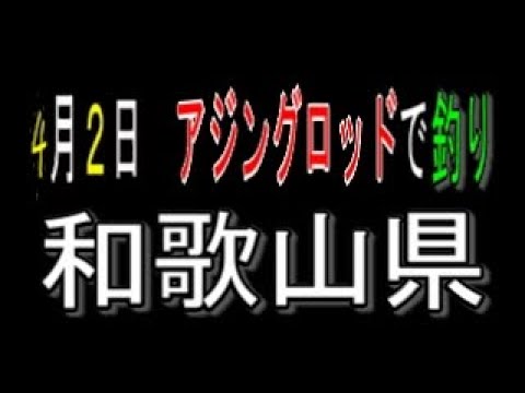 4月２日　アジングロッドで釣り和歌山県
