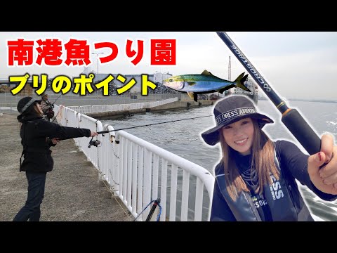 【大阪湾】南港魚つり園でライトショアジギング！青物・ブリのポイント紹介！