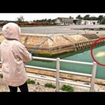 妻が釣った大物の珍味が美味過ぎた