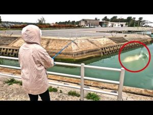 妻が釣った大物の珍味が美味過ぎた