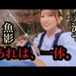 【渓流釣り】支流で見た魚影、、あれは一体何だったんだろう。