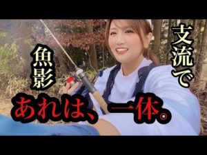 【渓流釣り】支流で見た魚影、、あれは一体何だったんだろう。