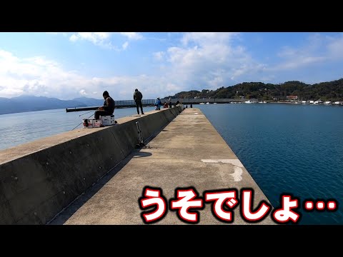 投げるだけでこんな光景になるなら泳がせ釣りどころじゃない…！