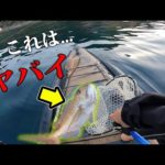 釣り天国五島列島でSUPフィッシング！SUPの上で暴れ散らかす赤いヤツ...