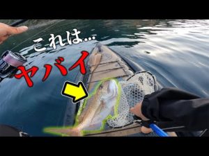 釣り天国五島列島でSUPフィッシング！SUPの上で暴れ散らかす赤いヤツ...