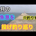 4月の漁港を投げ釣り巡り 知多半島