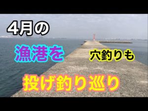 4月の漁港を投げ釣り巡り 知多半島