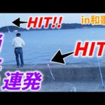 【連続で魚がHIT!!和歌山初日目の投げ釣り、幸先が良し！】第16回ふぐ名人のダーツの釣り！【第1話】