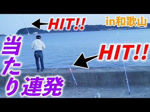 【連続で魚がHIT!!和歌山初日目の投げ釣り、幸先が良し！】第16回ふぐ名人のダーツの釣り！【第1話】